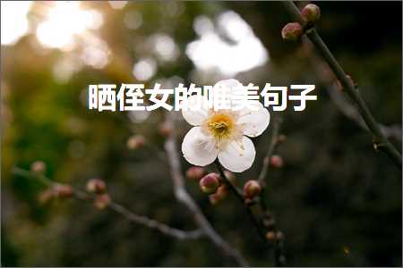 祝晚安的句子唯美（文案596条）